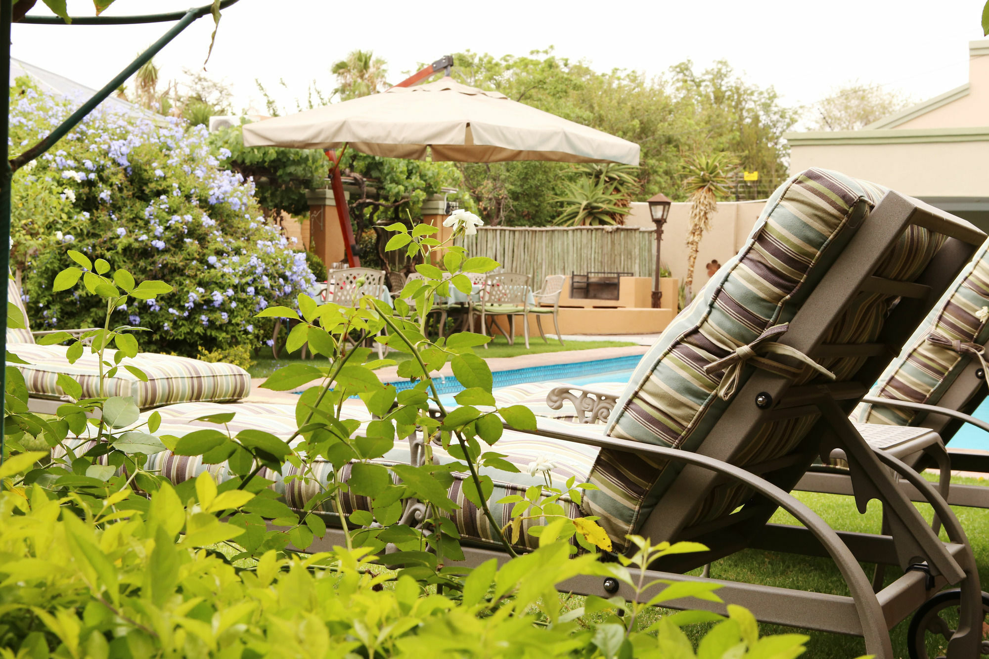 קימברלי Oleander Guest House מראה חיצוני תמונה